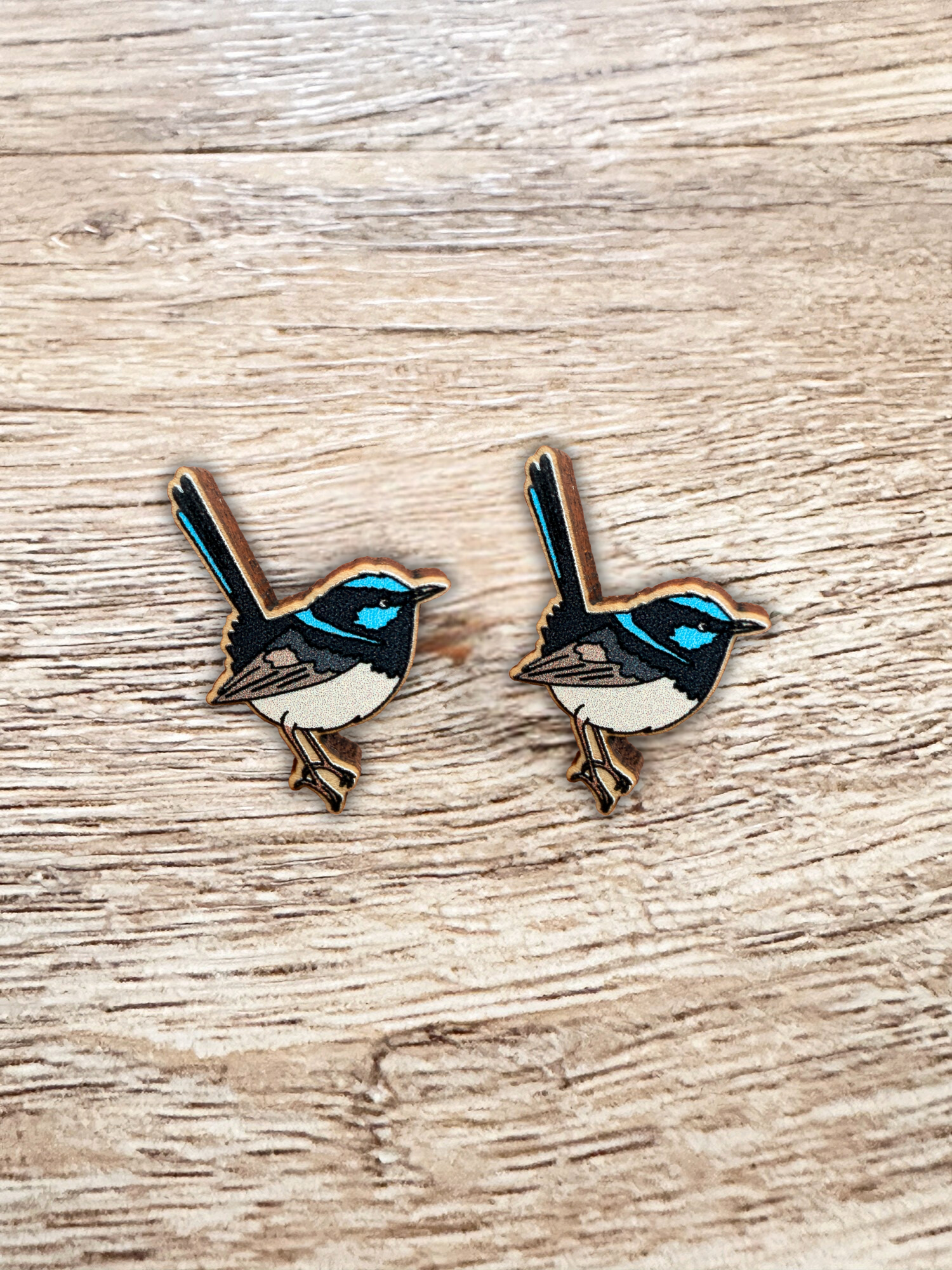 Fairy Wren ColourPop Stud Earrings
