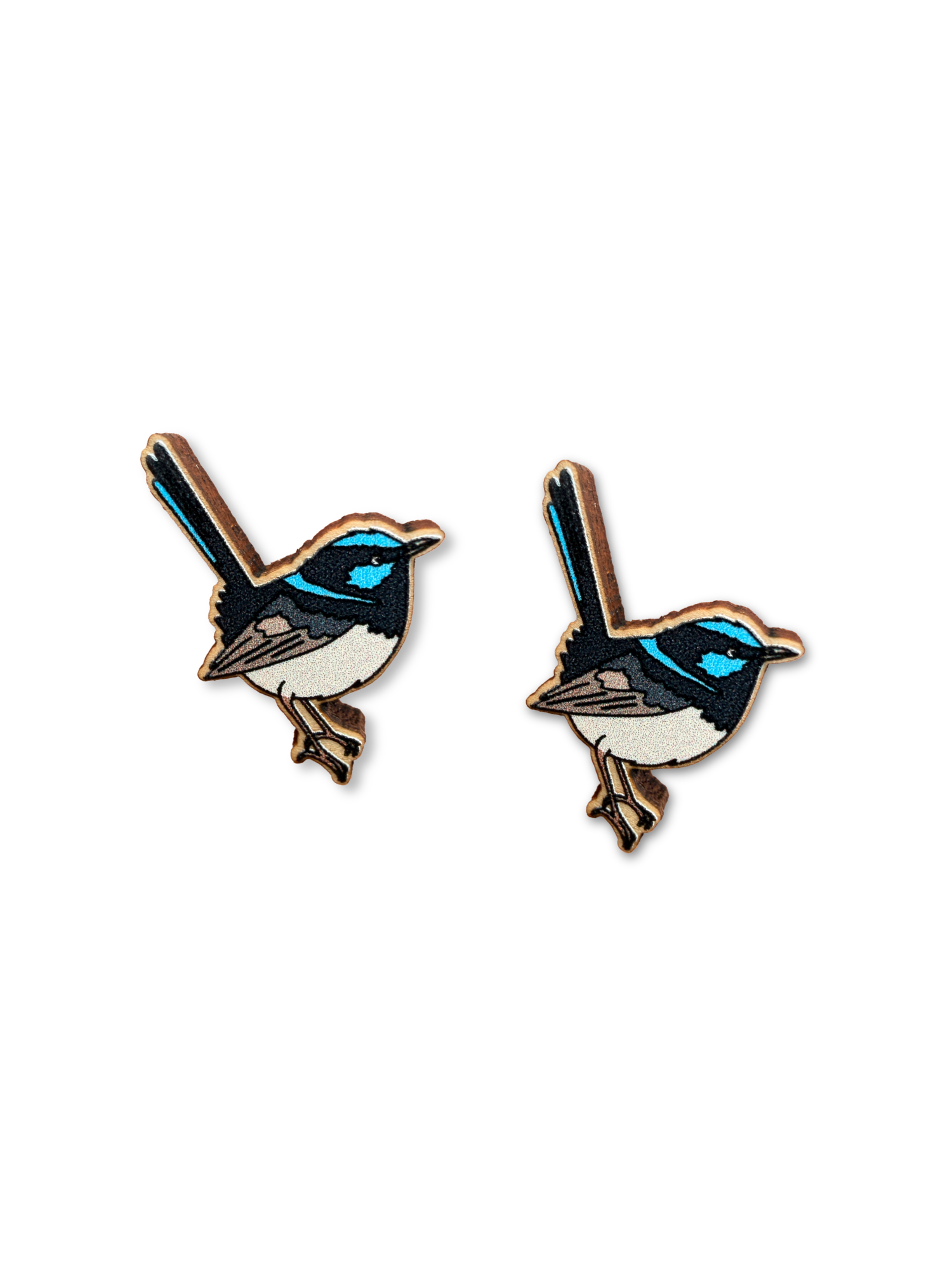 Fairy Wren ColourPop Stud Earrings