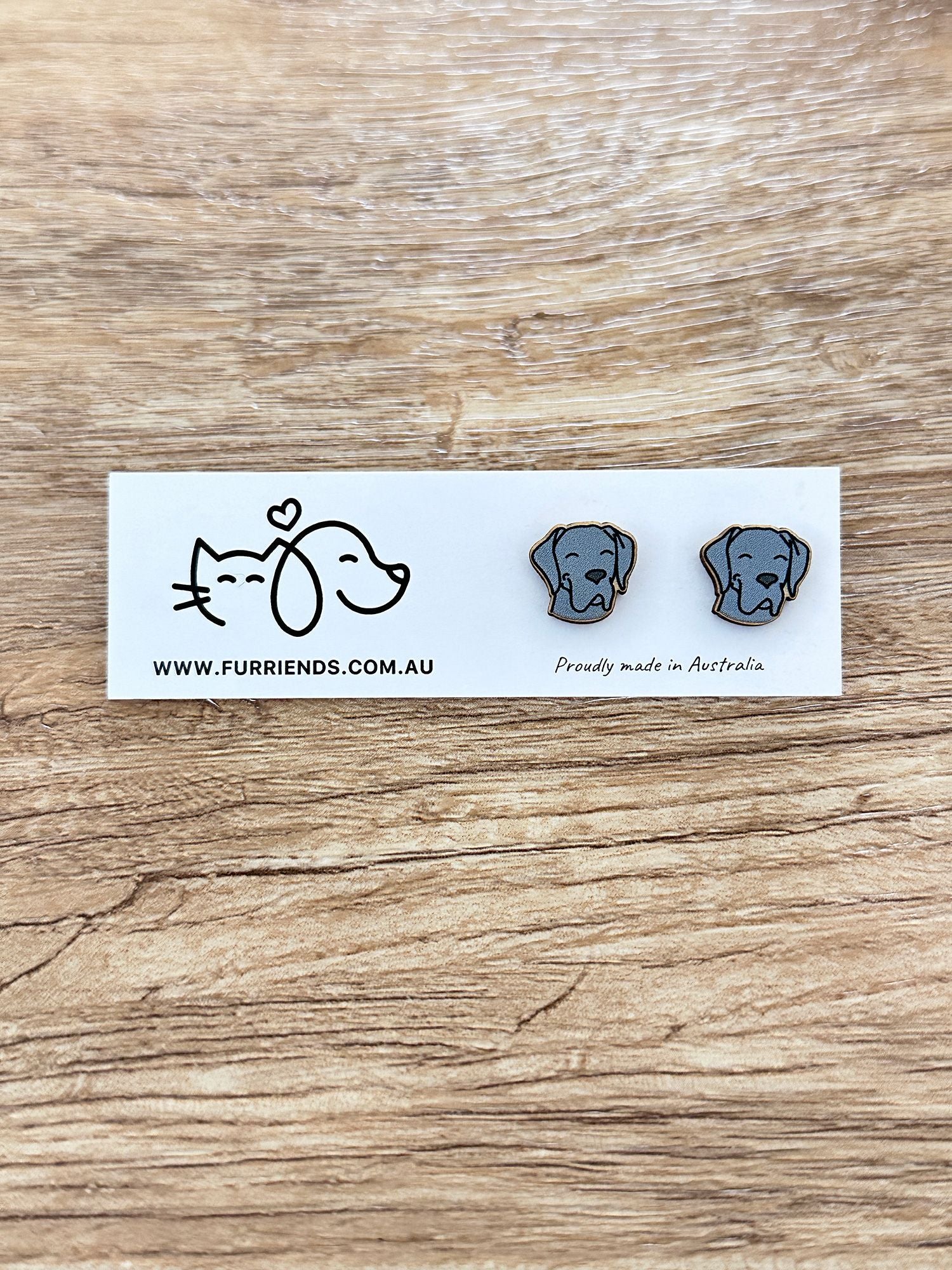 Great Dane ColourPop Stud  Earrings