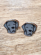 Great Dane ColourPop Stud  Earrings