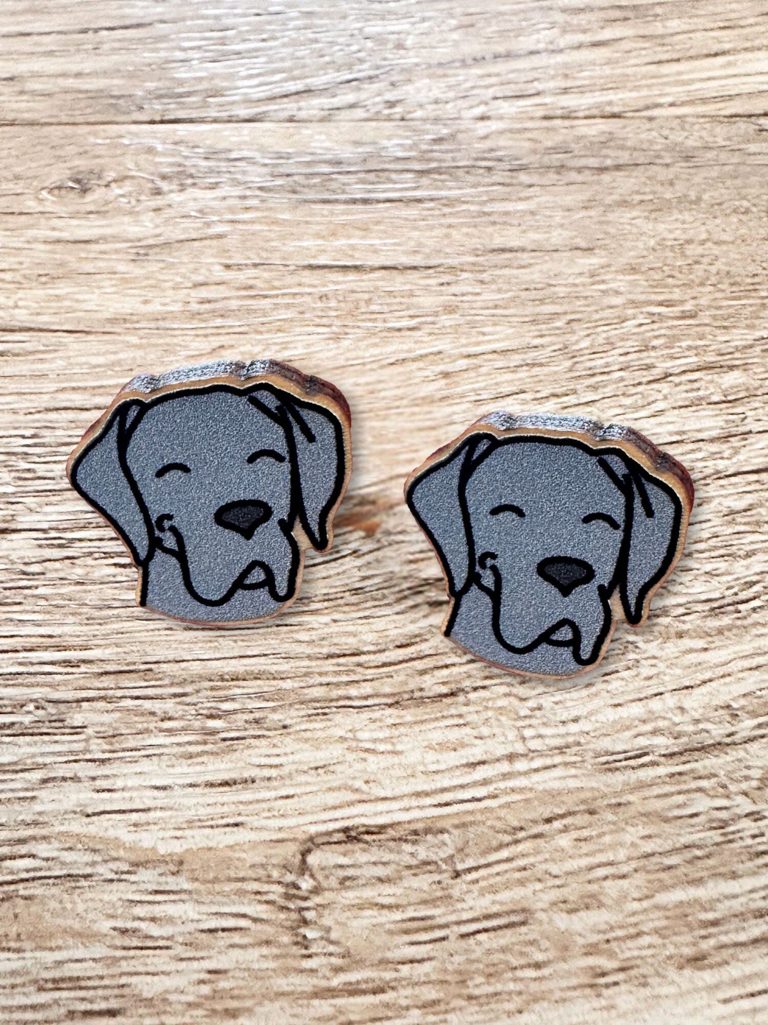 Great Dane ColourPop Stud  Earrings