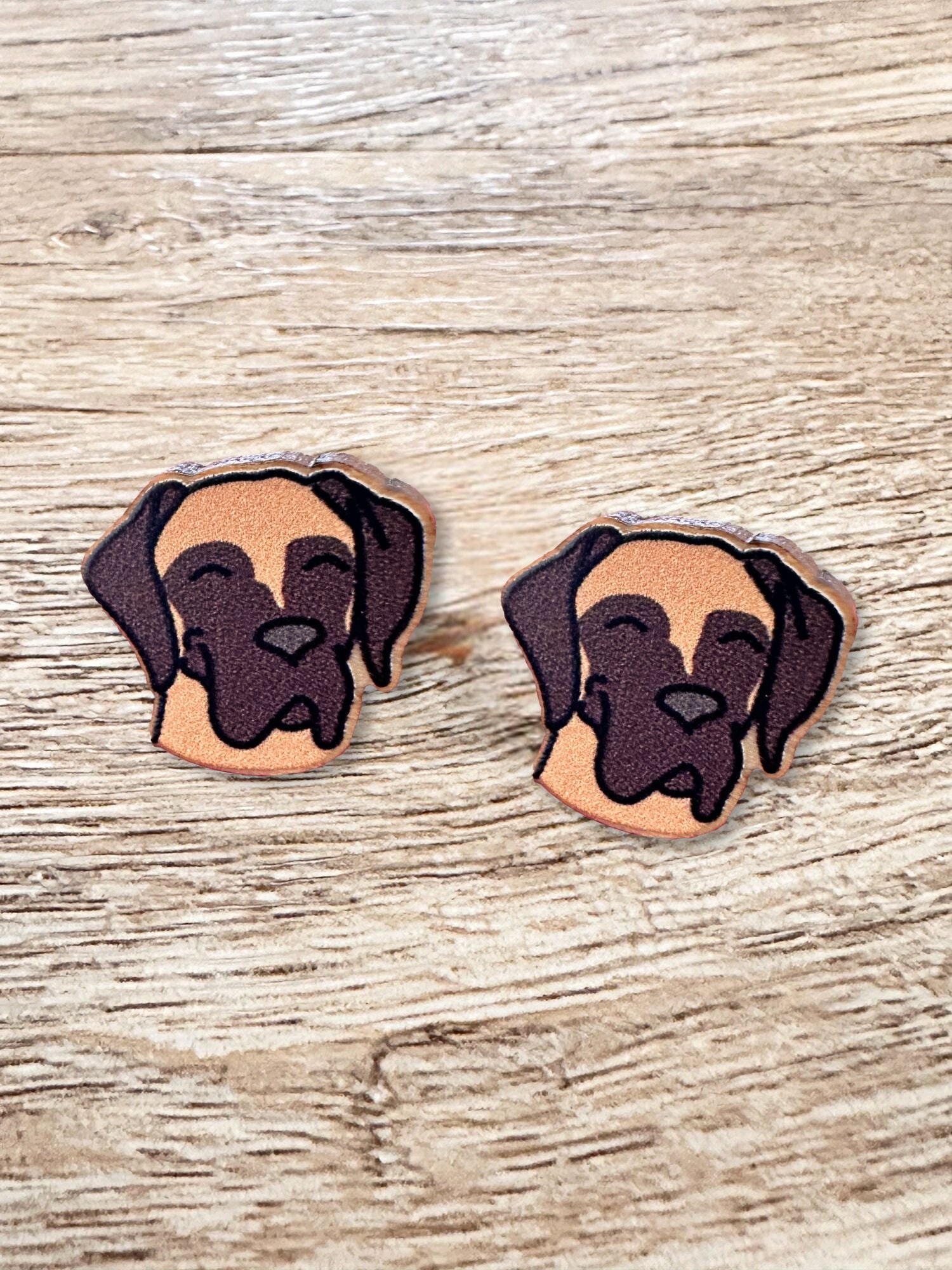 Great Dane ColourPop Stud  Earrings