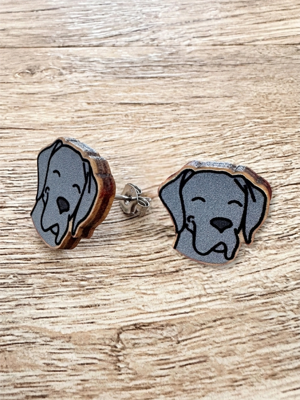 Great Dane ColourPop Stud  Earrings