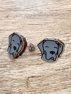 Great Dane ColourPop Stud  Earrings