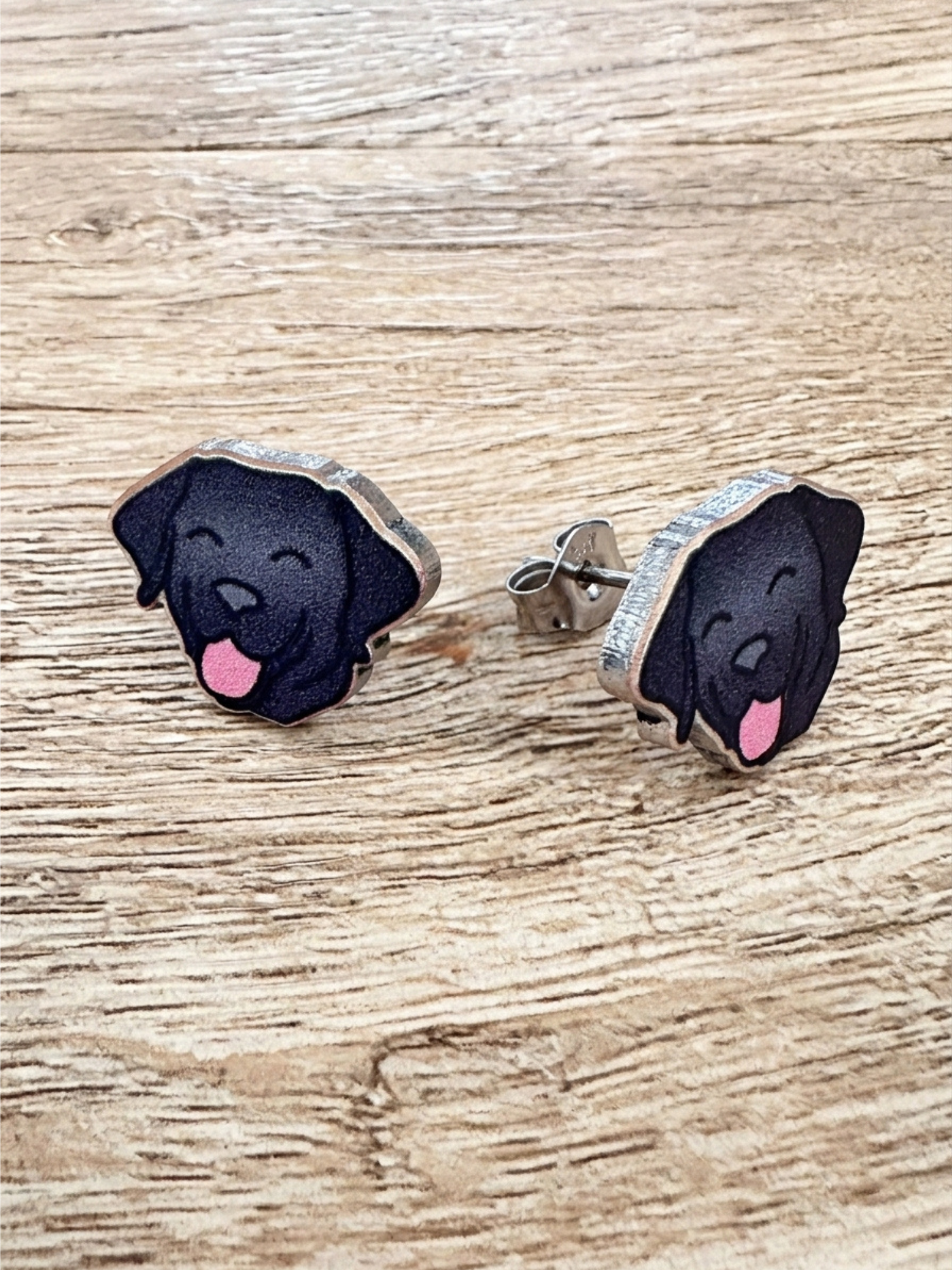 Labrador ColourPop Stud Earrings
