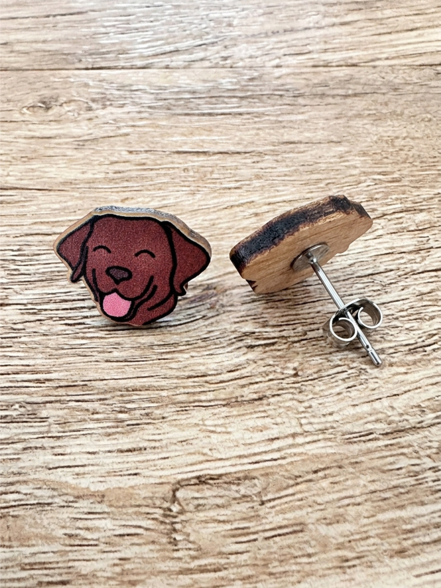 Labrador ColourPop Stud Earrings