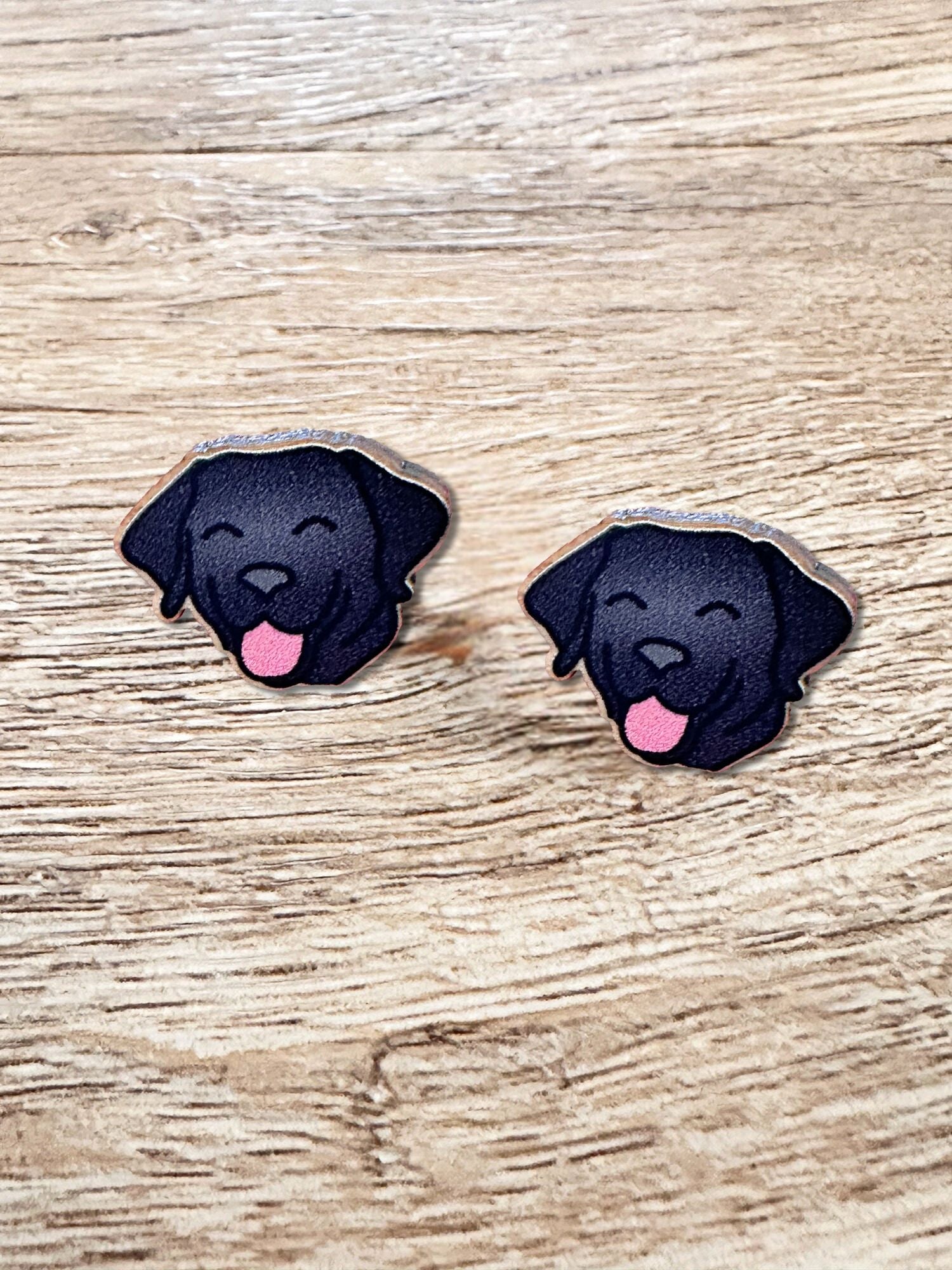 Labrador ColourPop Stud Earrings