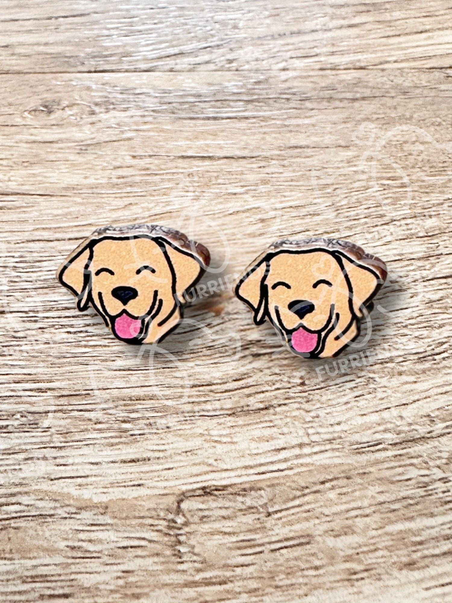 Labrador ColourPop Stud Earrings
