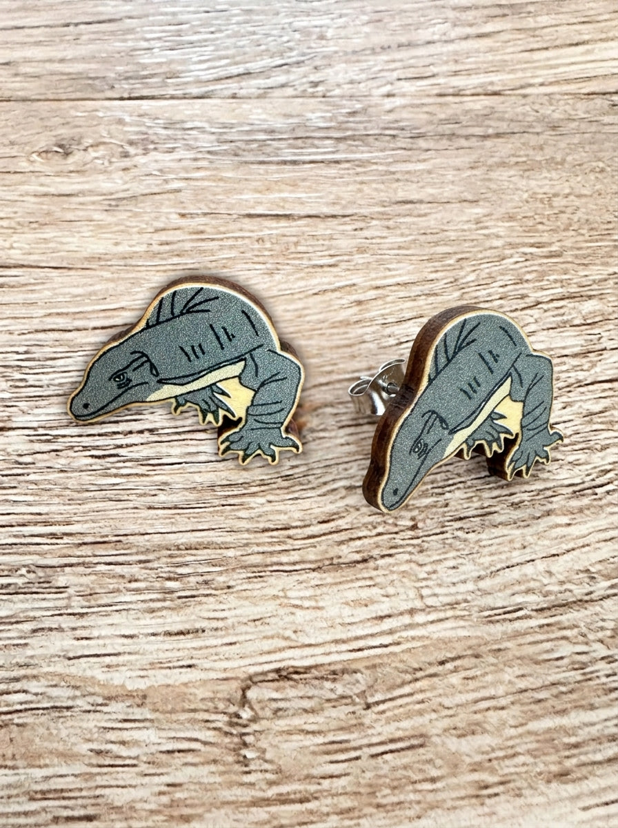 Lace-Monitor ColourPop Stud Earrings