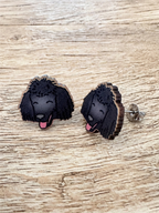 Poodle ColourPop Stud Earrings