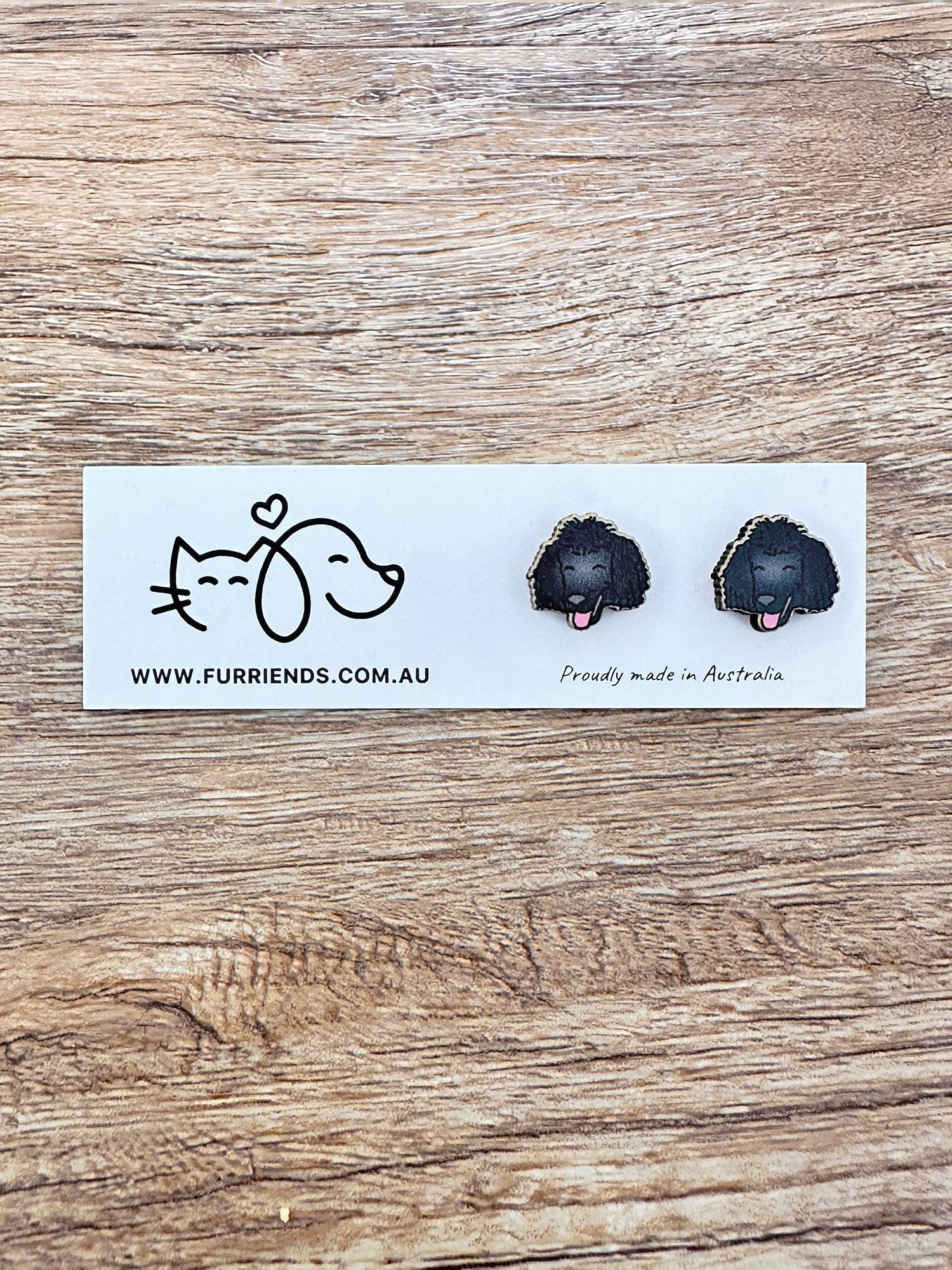 Poodle ColourPop Stud Earrings