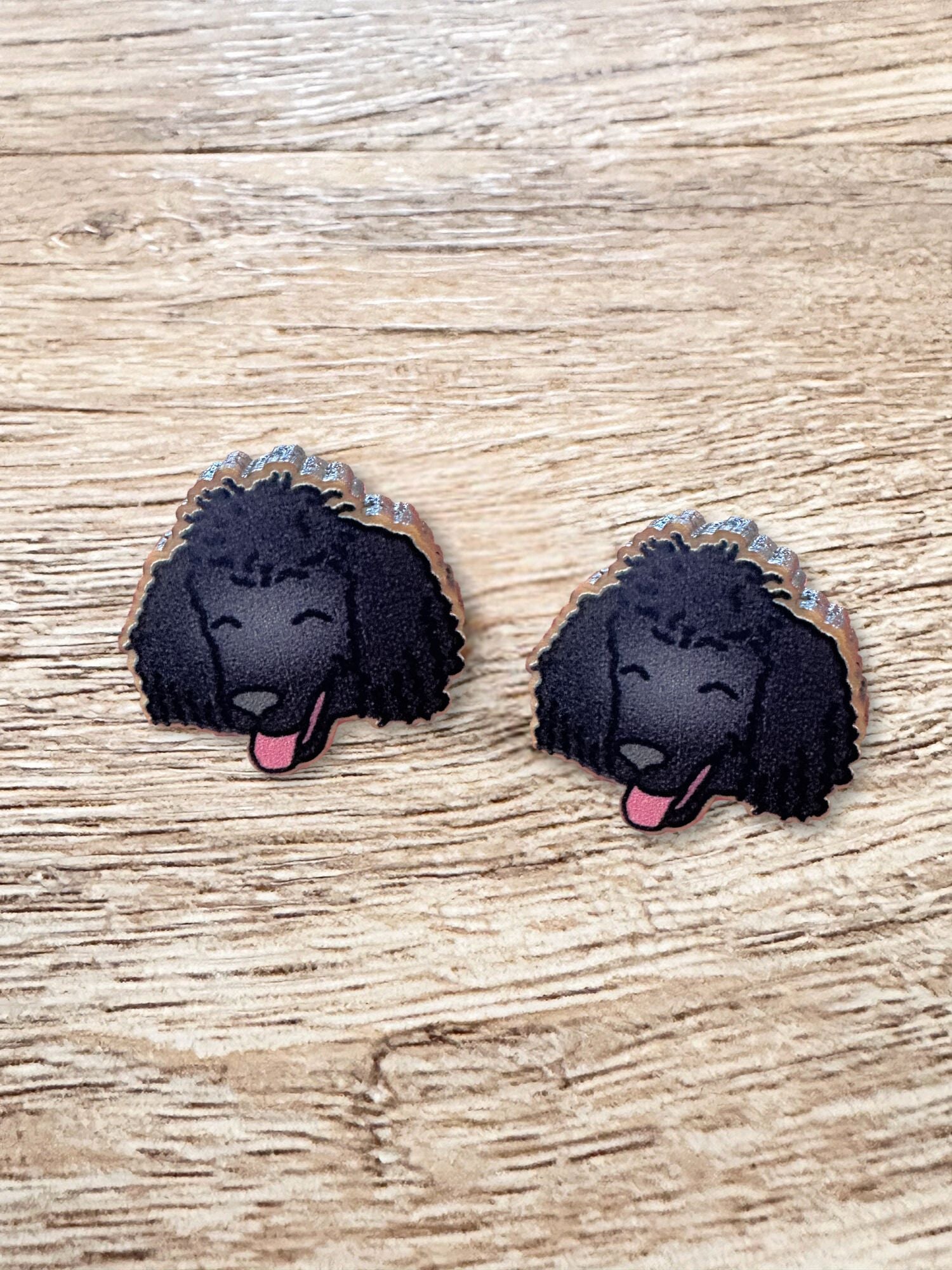 Poodle ColourPop Stud Earrings