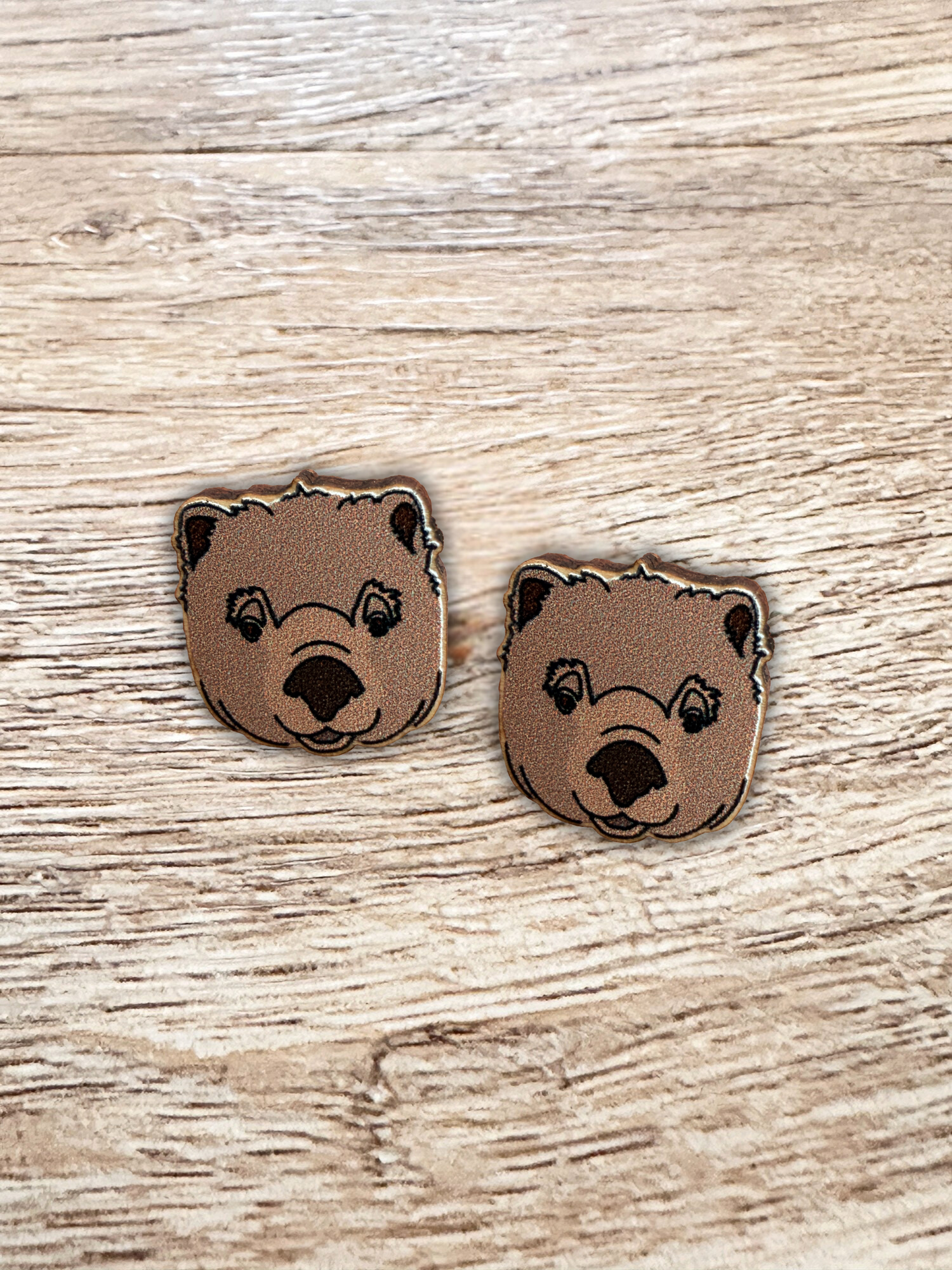 Wombat ColourPop Stud Earrings
