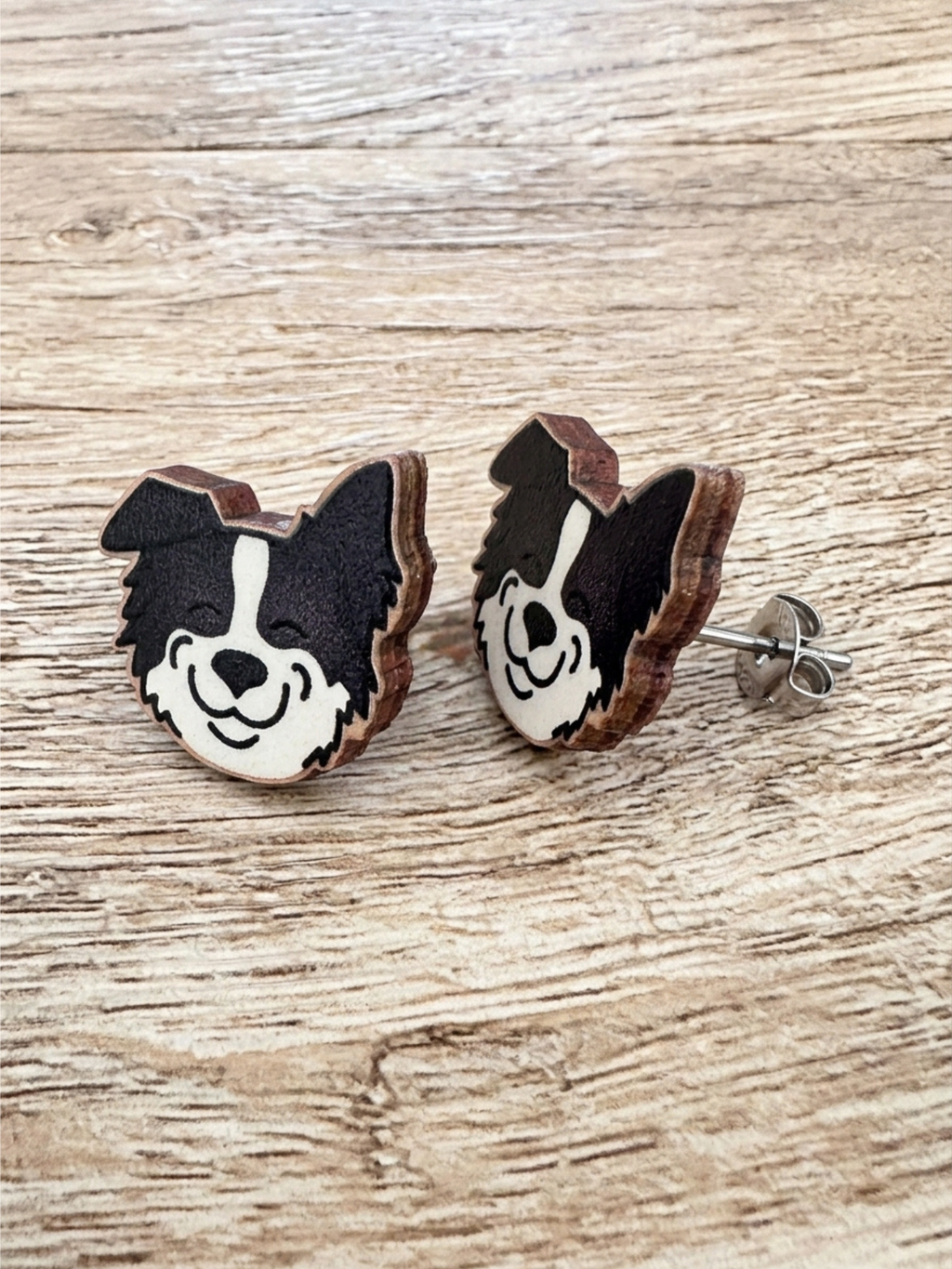 Border Collie ColourPop Stud Earrings