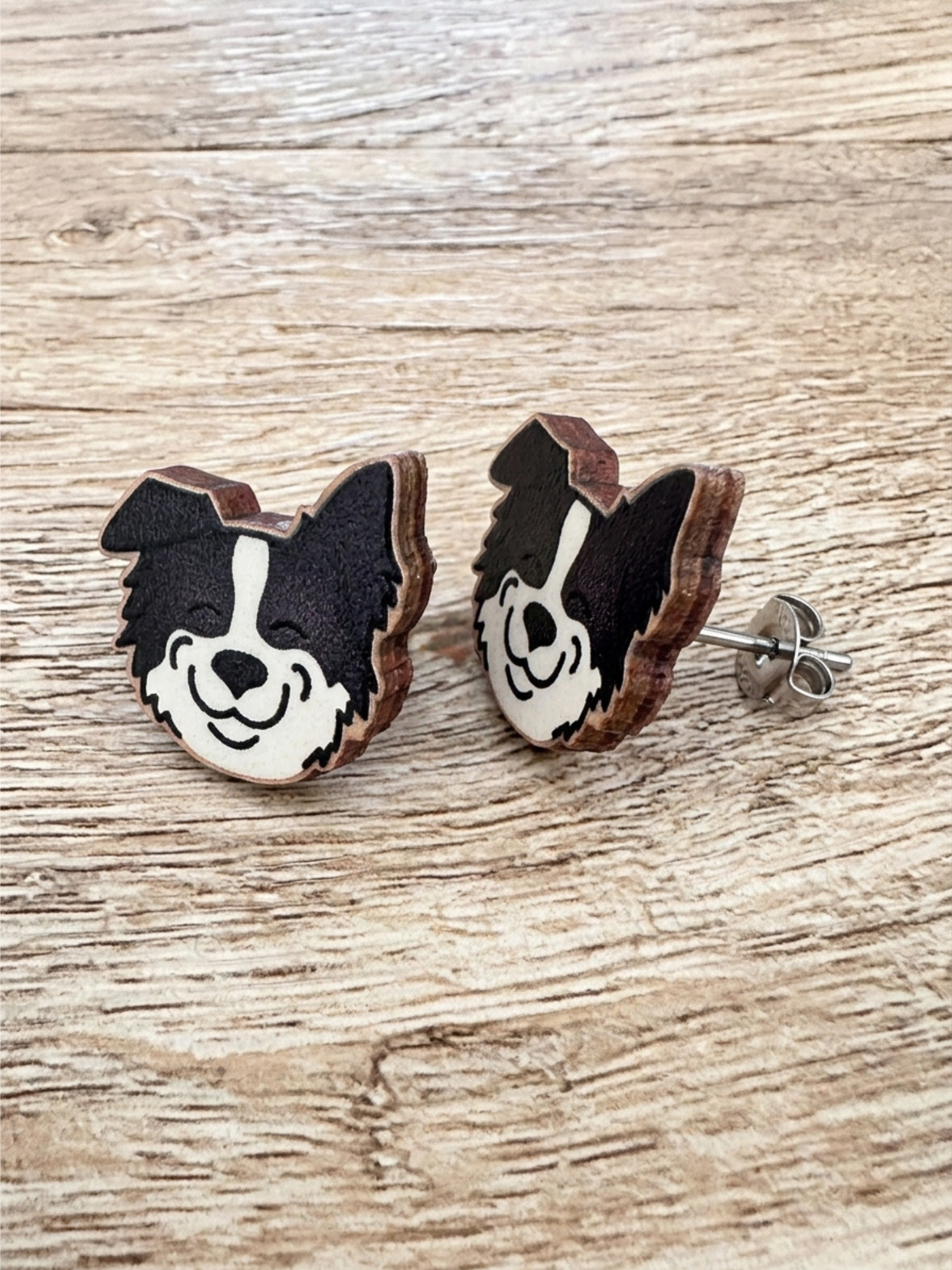 Border Collie ColourPop Stud Earrings