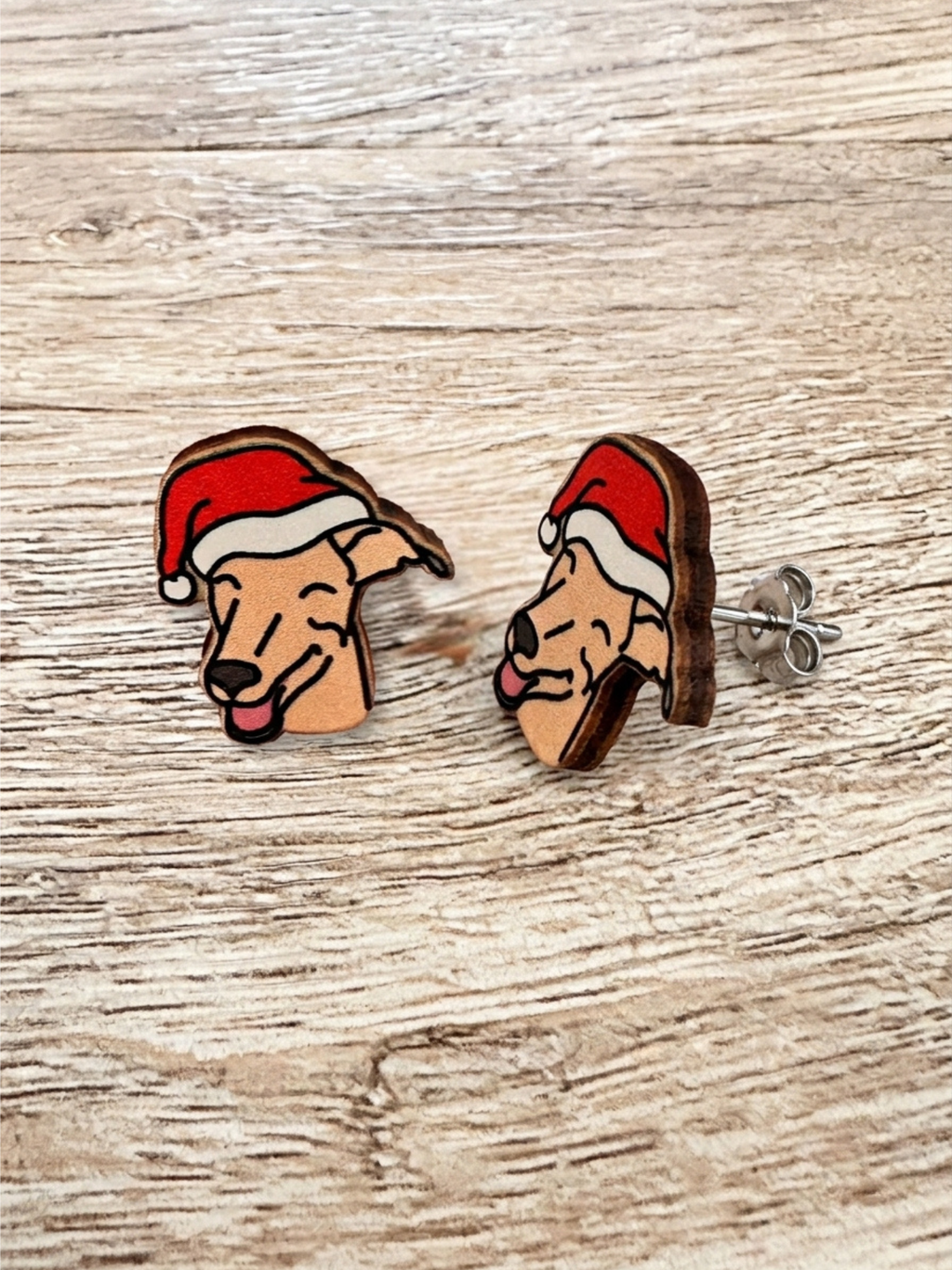 Great Dane ColourPop Stud  Earrings