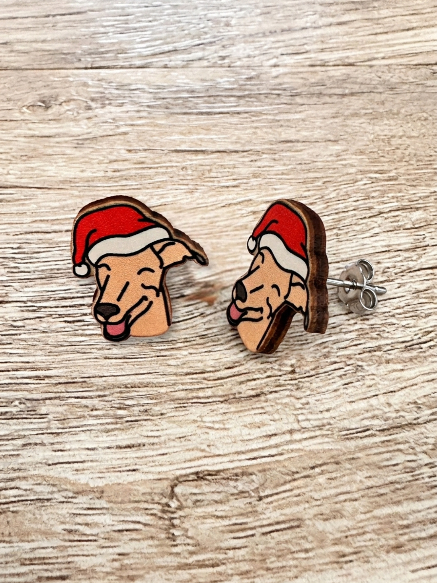 Great Dane ColourPop Stud  Earrings