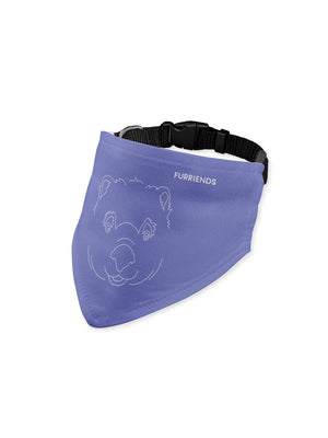 Wombat Reversible Dog Bandana With Collar