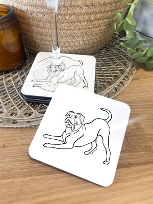 Boxer Coaster