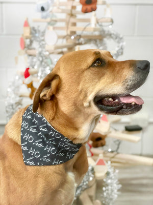 Merry Dogmas Reversible Dog Bandana With Collar