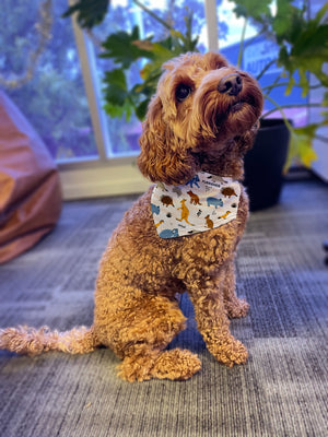 Kangaroo Reversible Dog Bandana With Collar