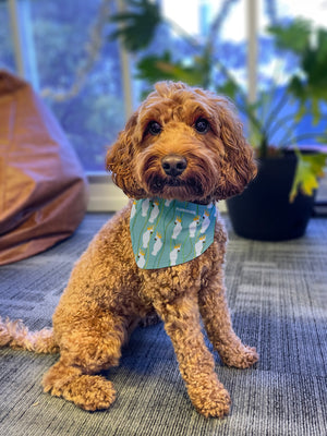 Kangaroo Reversible Dog Bandana With Collar