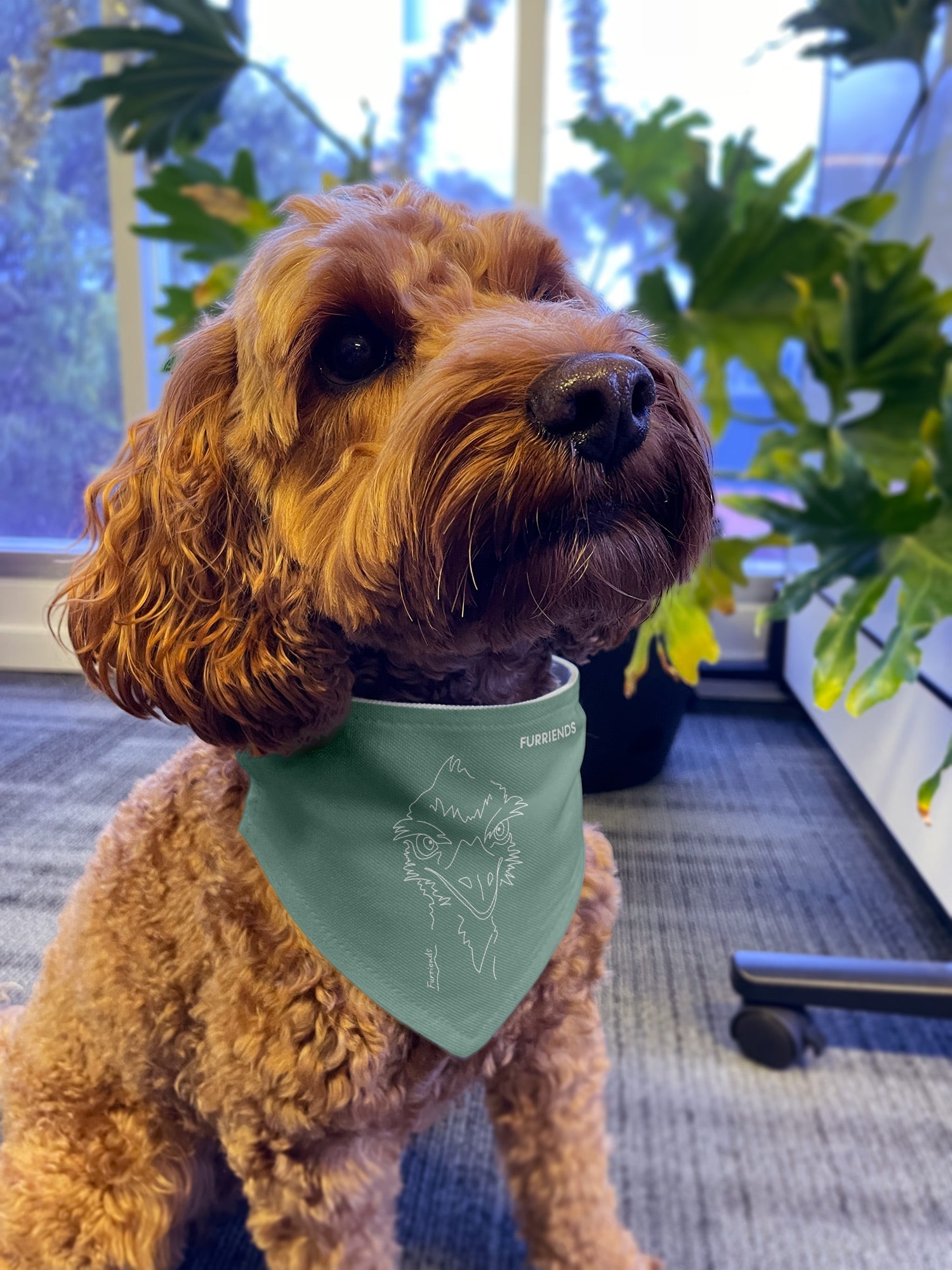 Emu Reversible Dog Bandana With Collar