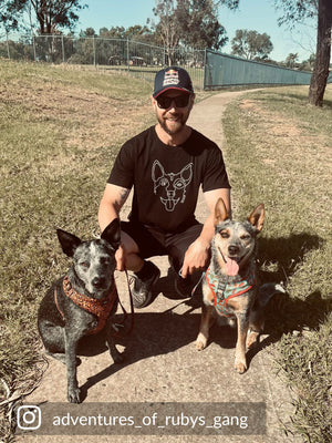 Blue Heeler Essential Unisex Tee
