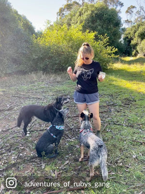Blue Heeler Ava Women's Regular Fit Tee
