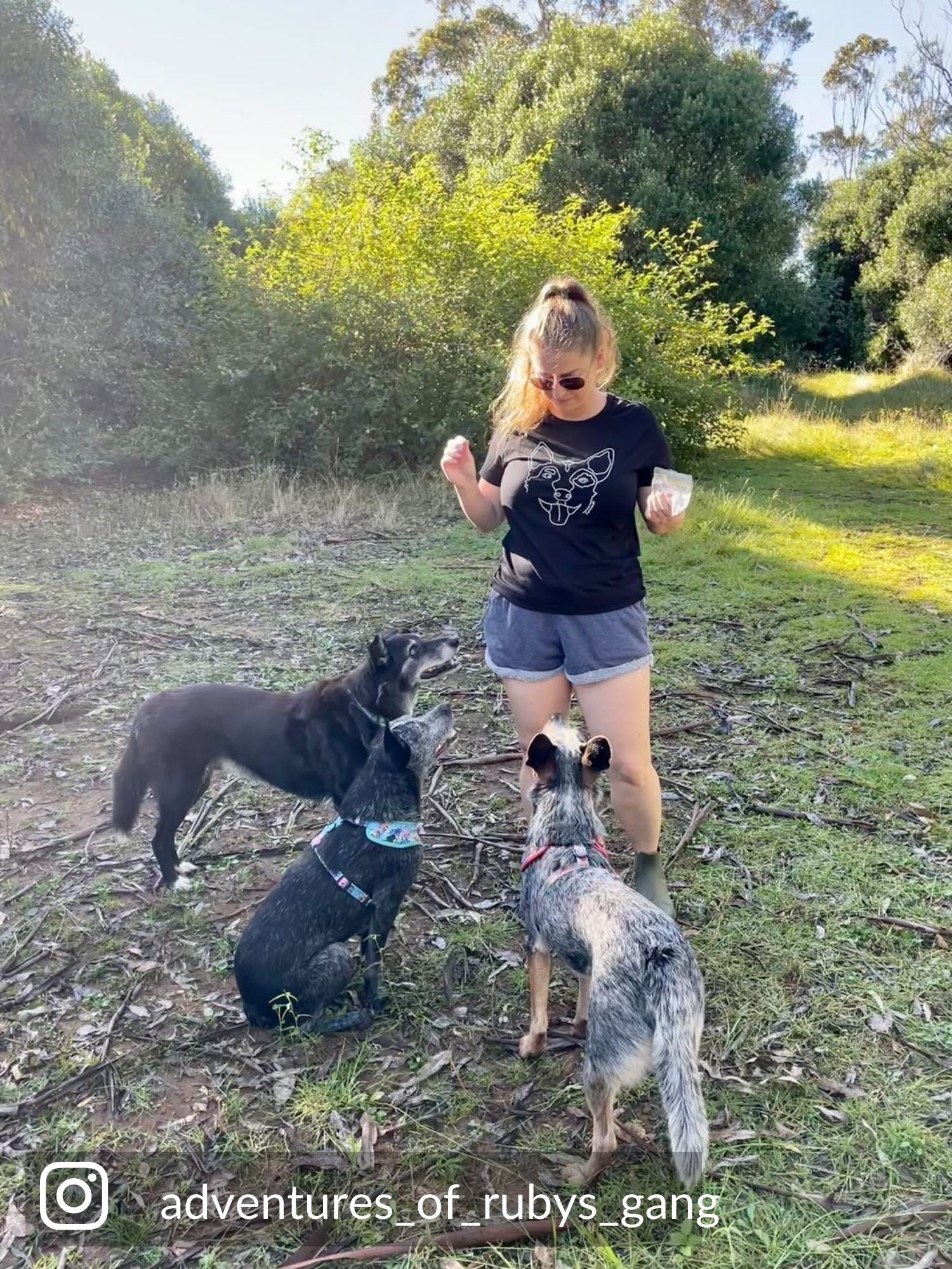 Blue Heeler Ava Regular Fit T Shirt Furriends Australia